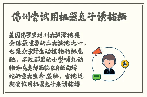40款禁用软件永久无限大全